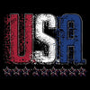 Grunt Style Youth U.S.A. Tee - Black artwork