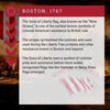 Informational text about the Sons of Liberty flag with a red border and historical context.
