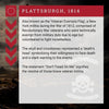 Informational text about the 'Plattsburgh, 1814' flag with a skull and crossbones symbol.