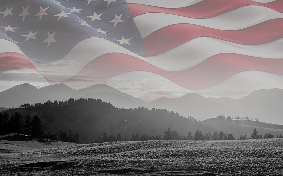 American flag superimposed over a black and white landscape with mountains and trees.