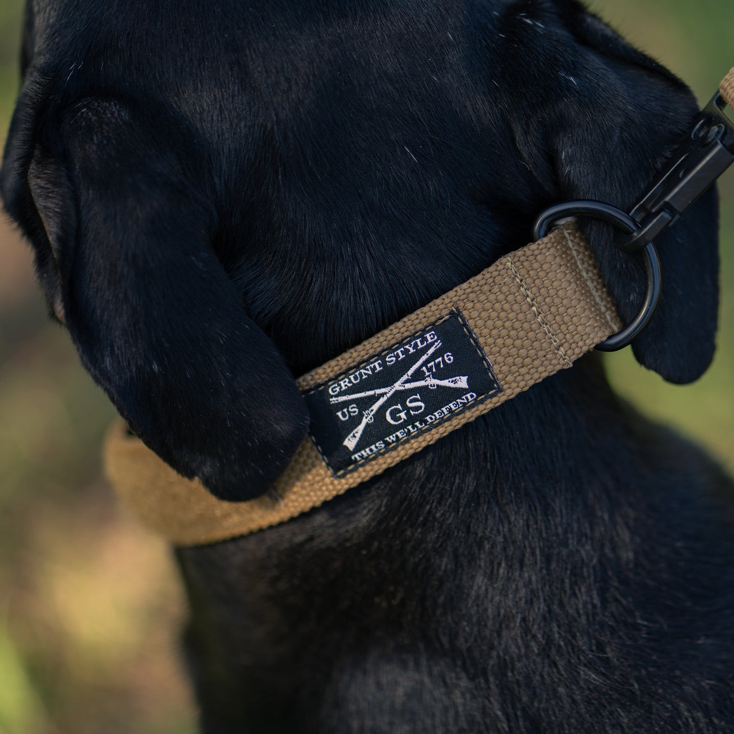 Coyote Quick Release Dog Collar | Grunt Style