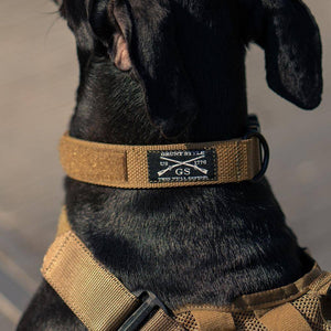 Quick Release Coyote Dog Collar
