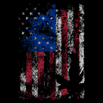Freedom Flag Full-Zip Graphic Hoodie  | Grunt Style 